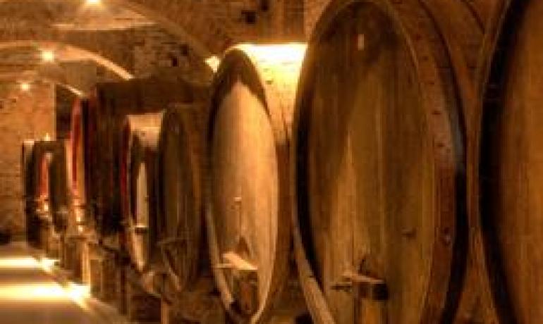 Botti di vino nella stanza della cantina della cantina con un tocco elegante.