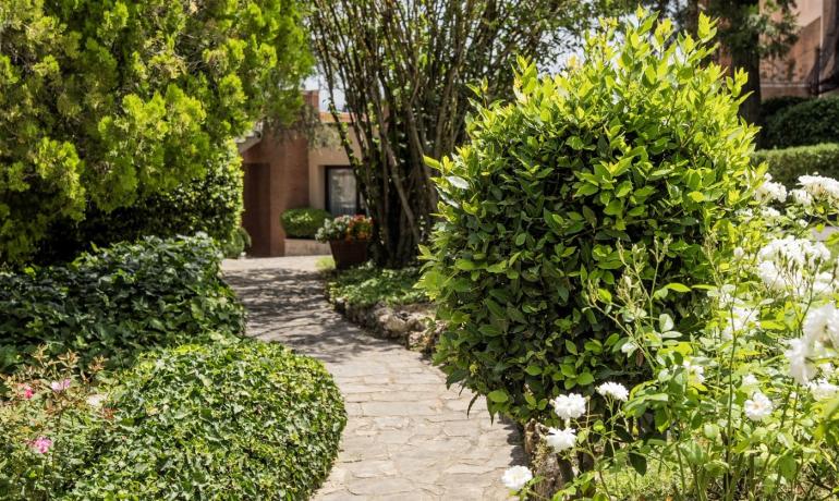 Sentiero di pietra tra cespugli verdi e fiori, atmosfera serena e accogliente.